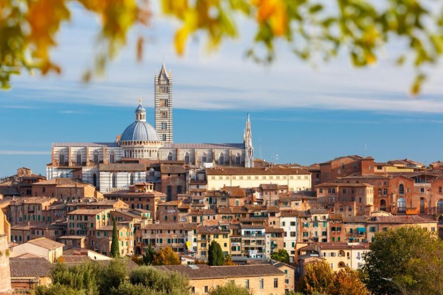 Siena: Private City Highlights Walking Tour - Starting at San Domenico Square: your orientation shortcut