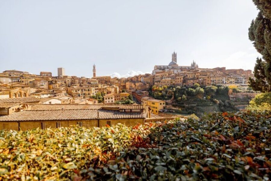 Siena: Private Custom Tour with a Local Guide - Getting oriented fast on Siena’s steep, twisty streets