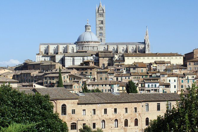 Siena private guided tour for families - Piazza del Campo: Palaces, Palio, and Why This Shape Matters