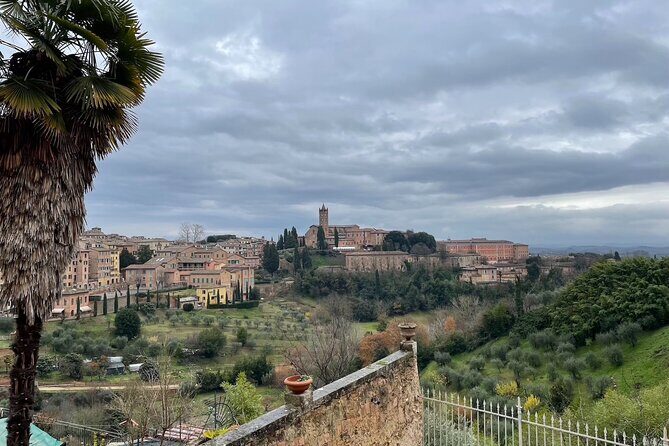 Siena Private Walking Tour: Traditions, Streets & Cathedral - Piazza San Domenico: the quick first look that helps everything click