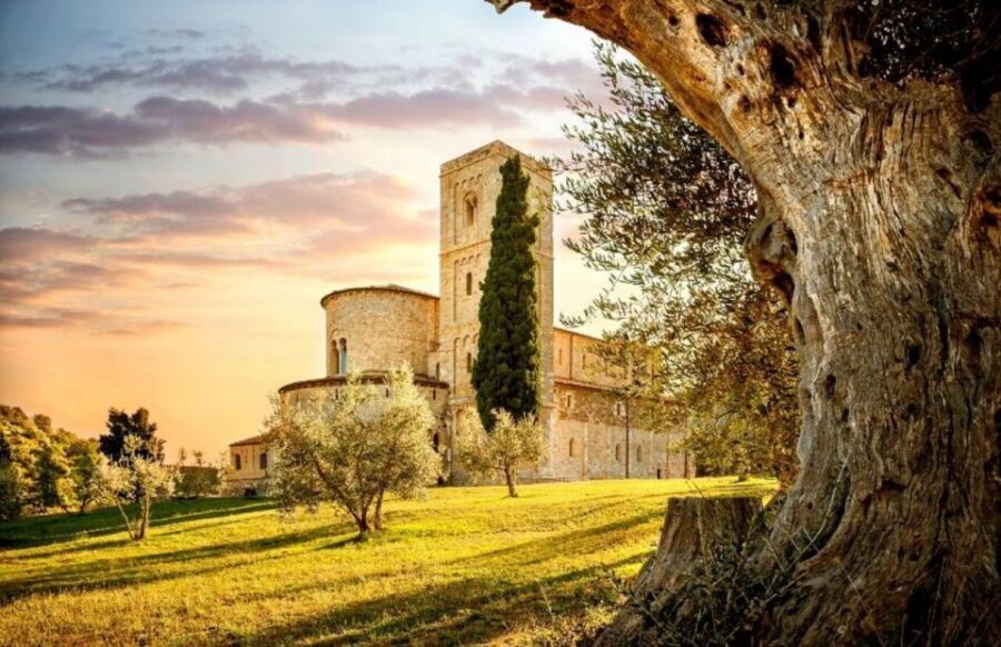 Siena: San Gimignano, Chianti & Montalcino Small-Group Tour - San Gimignano: towers, walls, Vernaccia, and shop-strolling time