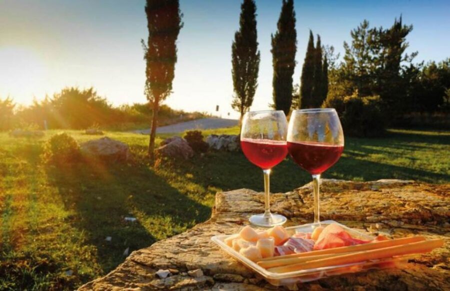Siena: San Gimignano, Chianti & Montalcino Small-Group Tour - The Brunello cellar tasting: where the day’s wine story lands