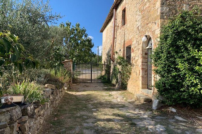 Siena: Small group Cooking Class in Chianti Farmhouse - What the Meal Feels Like When You Sit Down