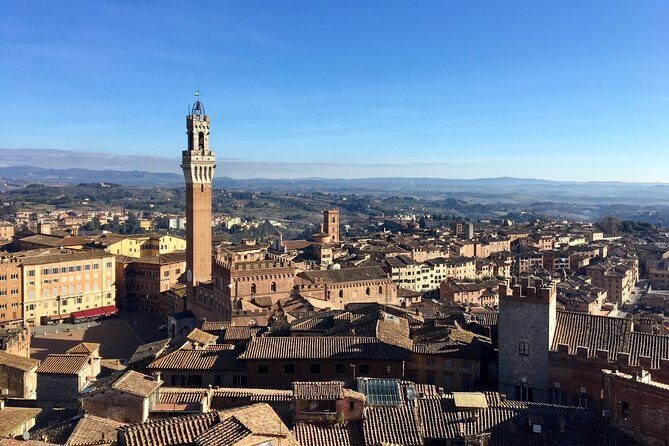 Siena Tour and exclusive window on Piazza del Campo - Duomo di Siena: the choice that decides how you feel about the tour