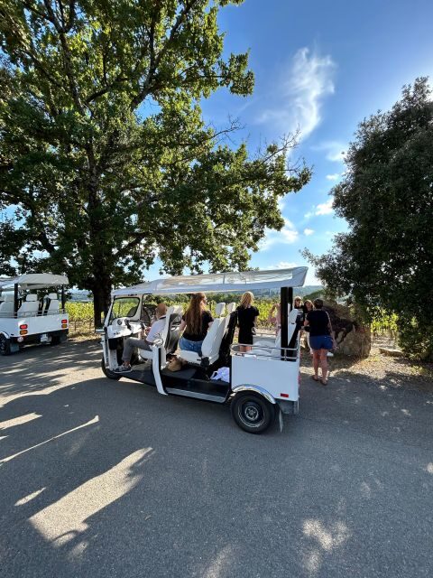 Siena: Tuk Tuk Tour with Wine Tasting - Should you book this Siena tuk-tuk wine tour?