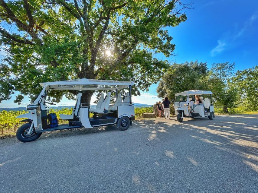 Siena: Tuk Tuk Tour with Wine Tasting - The winery stop: what you’ll do besides drink wine