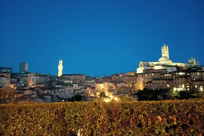 Siena Underground Wine tasting in a Medieval Cave - Price and value: is $90.11 worth it?