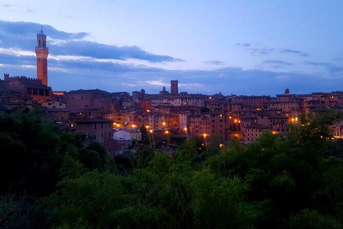 Siena walking tour with lunch & Chianti wine - Chianti lunch: homemade pasta plus Vernaccia for variety