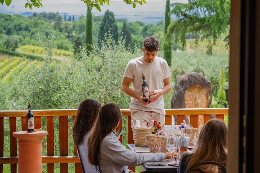 Siena: winery tour, wine tasting and lunch - Key highlights that make this tour feel worth it