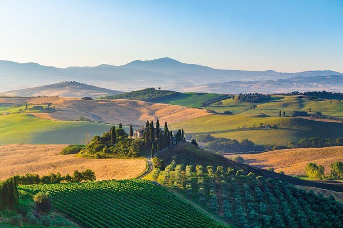 Signature Brunello di Montalcino Wine Tour from Siena - A Short Half-Day Route From Siena to Montalcino