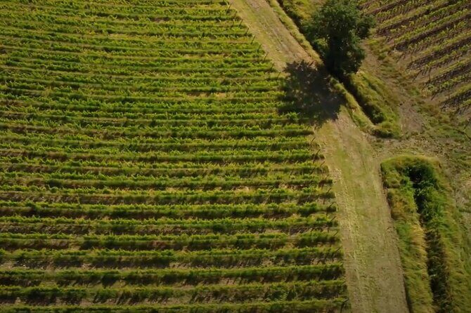 Signature Brunello di Montalcino Wine Tour from Siena - Stop 1: Stazione di Siena - Ferrovia and the Easiest Way to Start