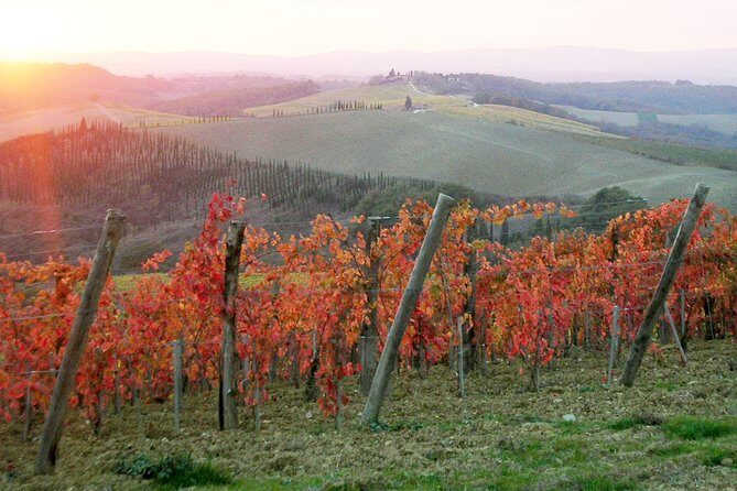 Small-Group Chianti and San Gimignano Sunset Trip from Siena - Sunset over San Gimignano: what to count on, and what to be ready for