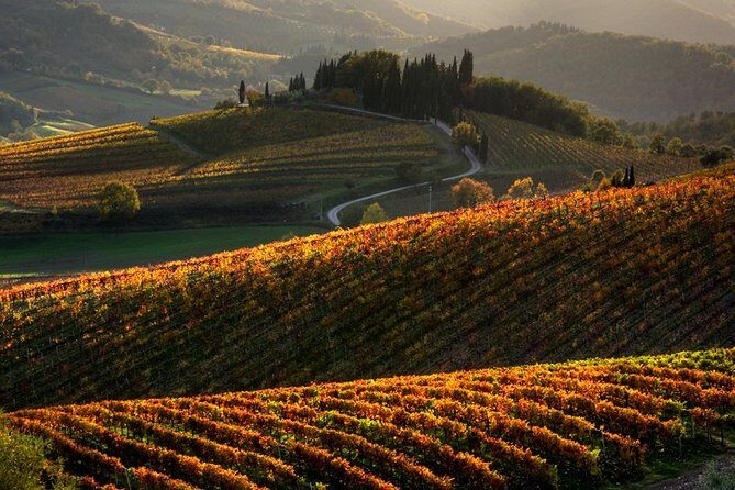 Small-Group Chianti and San Gimignano Sunset Trip from Siena - Monteriggioni stop: the fortress-town walls you can still walk around