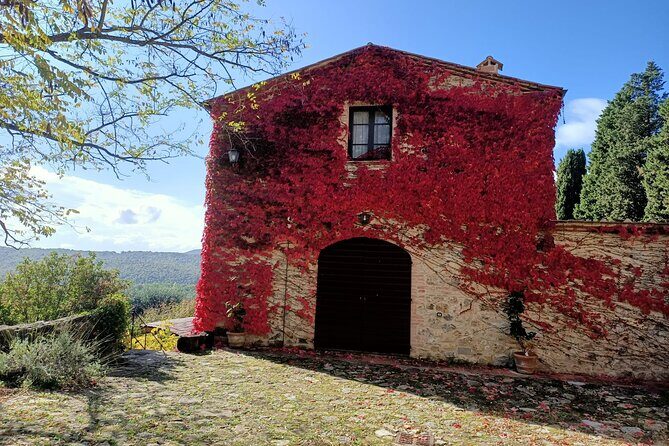 Small group Chianti Classico & Brunello wine region from Siena - Price and value: is $198.95 worth it?