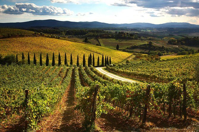 Small-Group Chianti Trip with Wine Tasting from Siena - Timing and comfort: an 8-hour day that still feels manageable