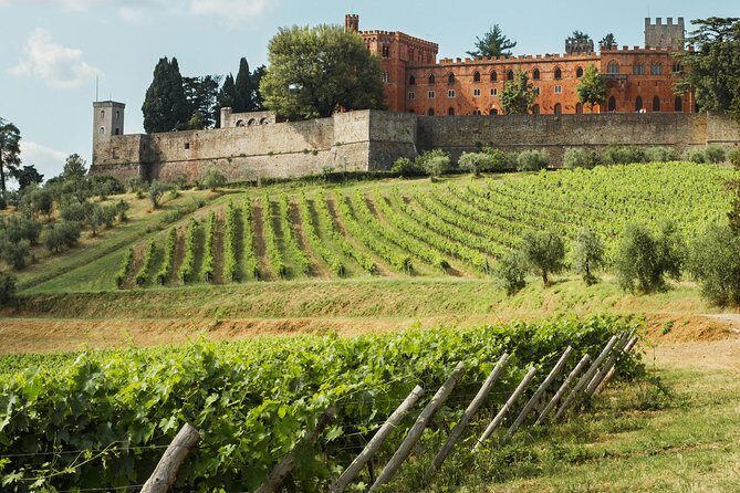 Small-Group Chianti Trip with Wine Tasting from Siena - What’s included versus what costs extra