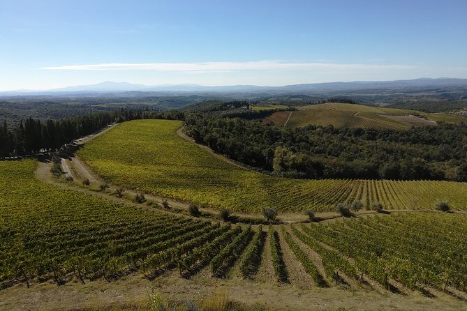 Small-Group Chianti Trip with Wine Tasting from Siena - Price and value: is $217.22 a fair deal for this day?