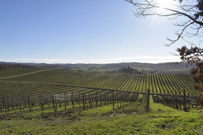 Small Group E-Bike Chianti Tour with farm lunch from Siena - The Value Mix: E-bikes, real food, and a capped group size