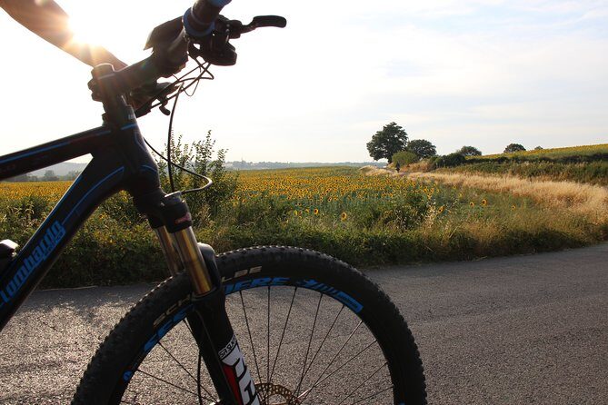 Small Group E-Bike Chianti Tour with farm lunch from Siena - Meet at Siena’s station: the easiest way to start without stress