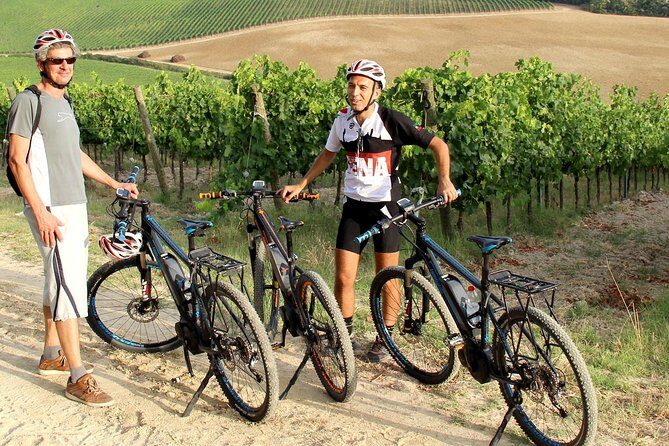 Small Group E-Bike Chianti Tour with farm lunch from Siena - The farm lunch and wine tasting: where the day really clicks