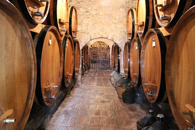Small-Group Montepulciano and Pienza Day Trip from Siena - The winery cellar tour: tasting with context