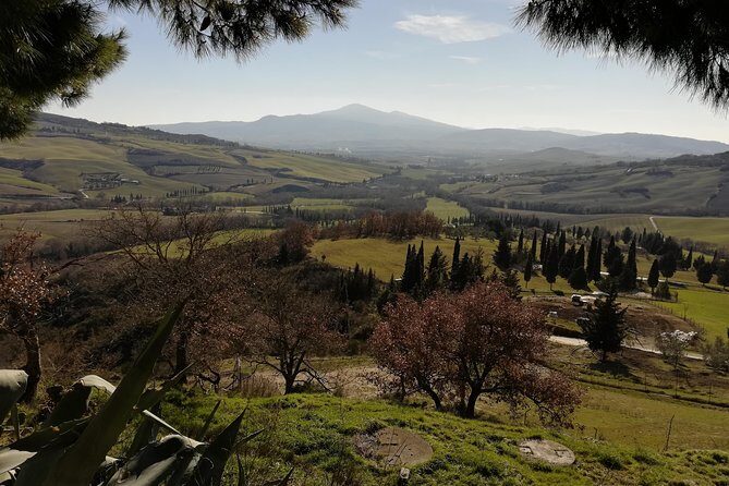 Small-Group Montepulciano and Pienza Day Trip from Siena - Price value: is $217.77 worth it?