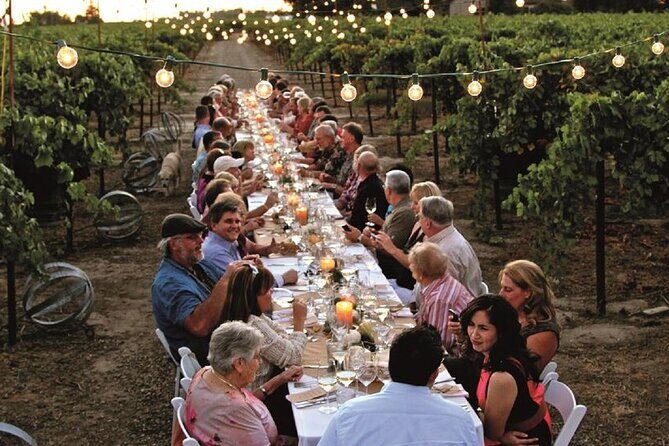 Sunset Summer Dinner Among the Vines – Small Group from Siena - Key Things You’ll Notice Right Away