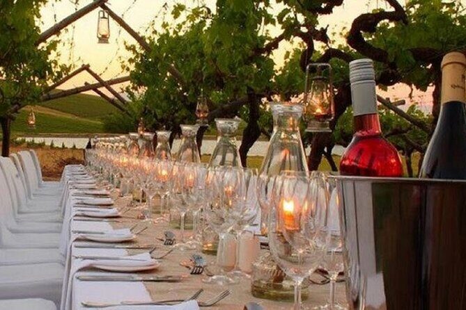 Sunset Summer Dinner Among the Vines – Small Group from Siena - Sunset Summer Dinner Among the Vines: What This Trip Is Actually Like