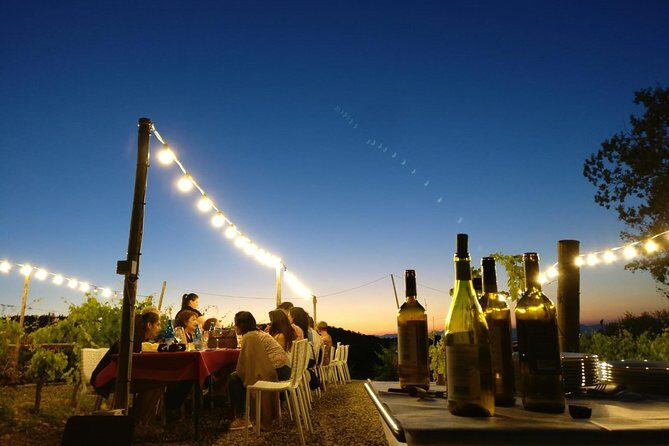 Sunset Summer Dinner Among the Vines – Small Group from Siena - The Wine Route Visit: Estate Tastings and What You Should Expect
