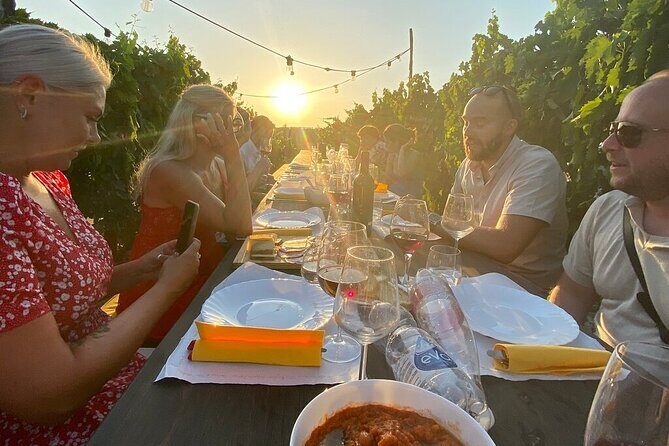 Sunset Summer Dinner Among the Vines – Small Group from Siena - Vegetarian, Celiac, and Dietary Reality Checks