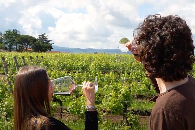 Sunset Summer Dinner Among the Vines – Small Group from Siena - Weather Plan: Eating Inside vs. Out in the Vines