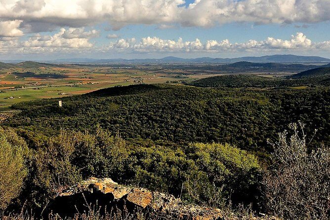 Tarot Garden and Maremma Park - Should you book Tarot Garden and Maremma Park from Siena?