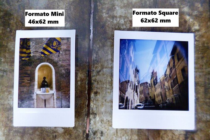 The 17 Fantastic Animals of Siena - Instant Camera Options: Films and Photo Formats