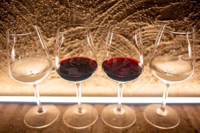 The Countess’s Lunch: Wine Tasting Paired with Signature Cuisine - Balsamic and olive oil: the pairings that make the lunch feel intentional