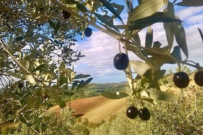 The Maremma - Stop 1: Le Cascatelle di Saturnia and the real hot-water plan