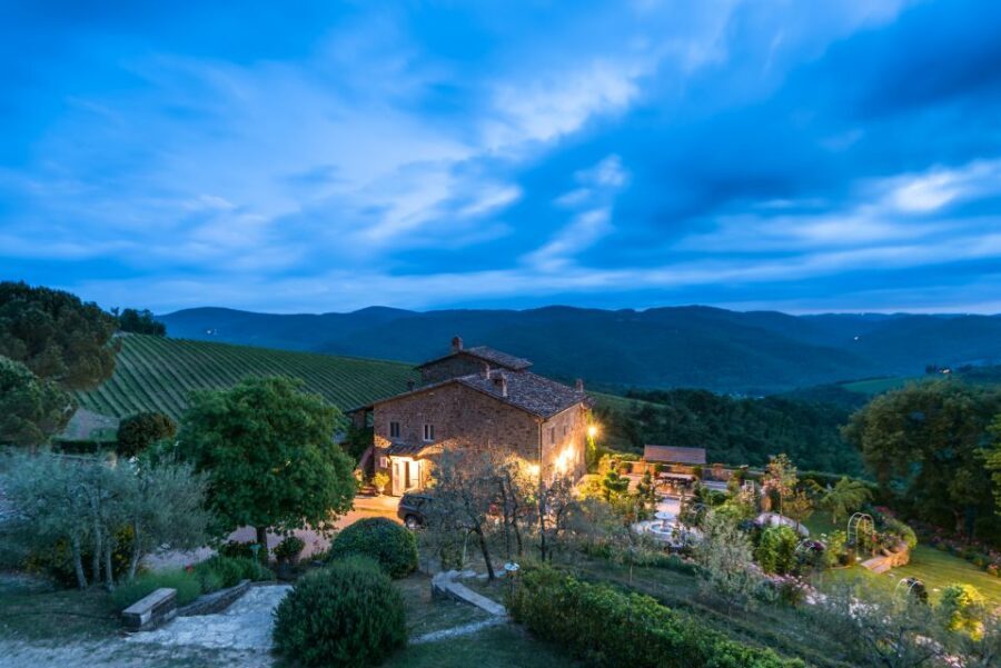 Total Immersion Wine Tour in Chianti - Key Highlights You’ll Actually Use