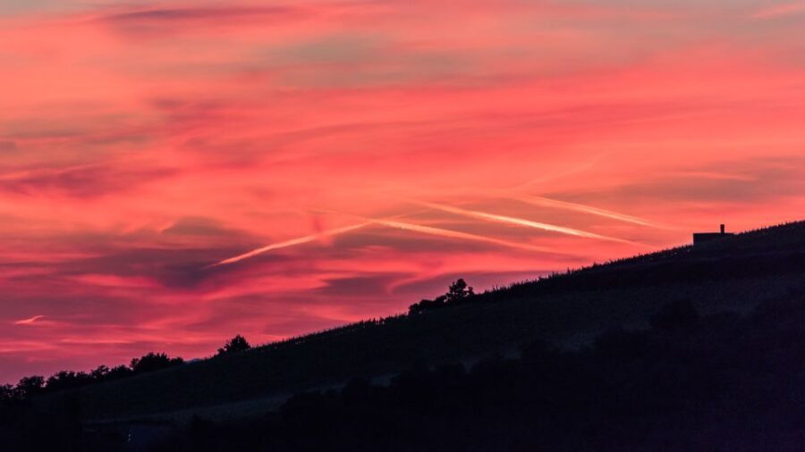 Total Immersion Wine Tour in Chianti - Should You Book This Organic Chianti Tour?