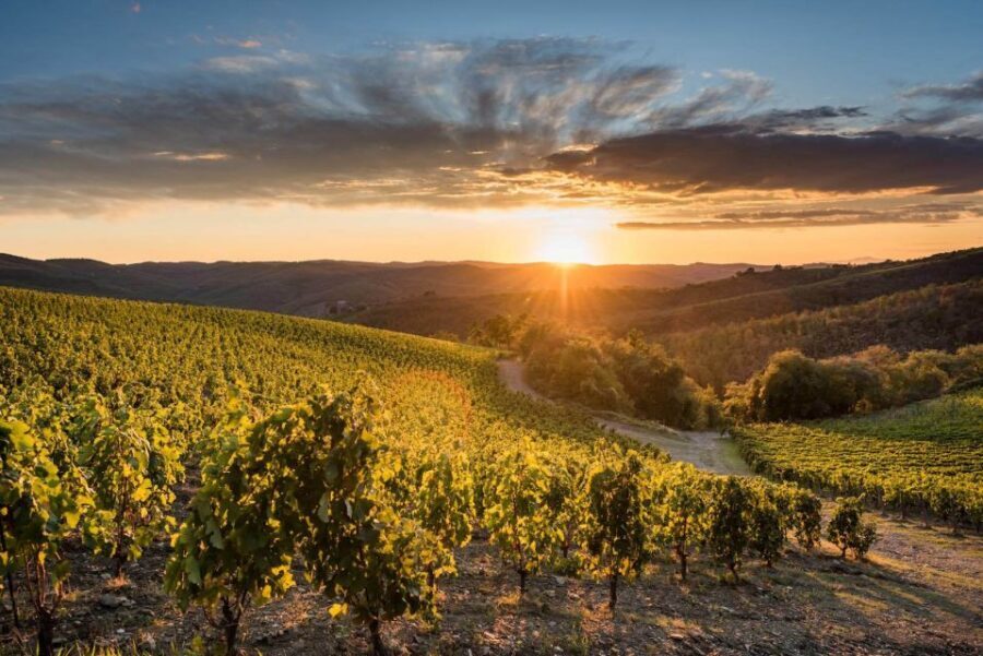 Total Immersion Wine Tour in Chianti - Getting There and What to Wear Before You Taste