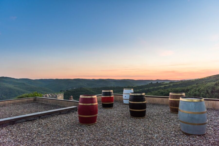 Total Immersion Wine Tour in Chianti - Inside the Cellar: Harvest Selection, Fermentation, and Aging