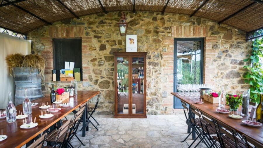 Total Immersion Wine Tour in Chianti - Price and Value at $47 for Two Hours