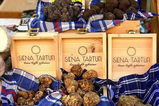 Truffle Hunting Experience Siena Tartufi - The woods walk: how you learn to dig without rushing it