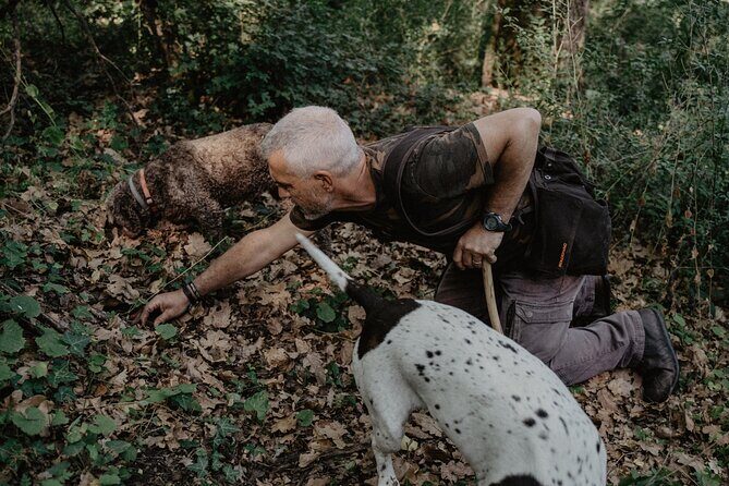 Truffle Hunting in Tuscany - Where this Truffle Hunt fits in your Siena plans