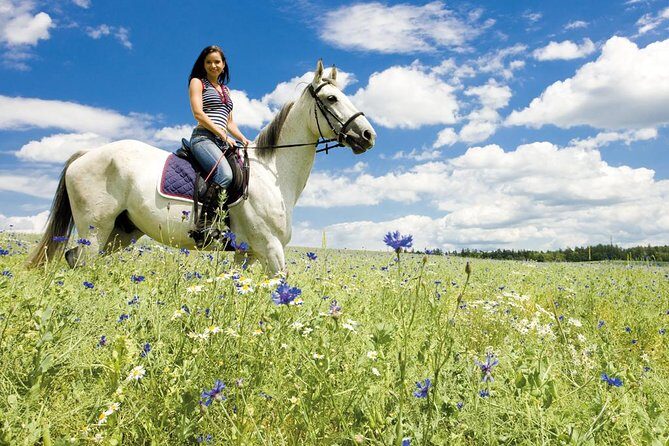 Tuscan Chianti Hills Horseback Riding Tour - What If You Want More Than a Walk: Trot and Canter Options