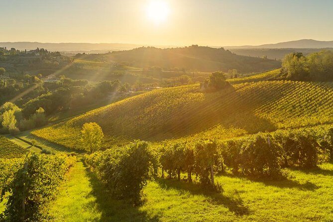 Tuscan Chianti Hills Horseback Riding Tour - Back to Siena: The Minivan Return and How to Time Your Afternoon
