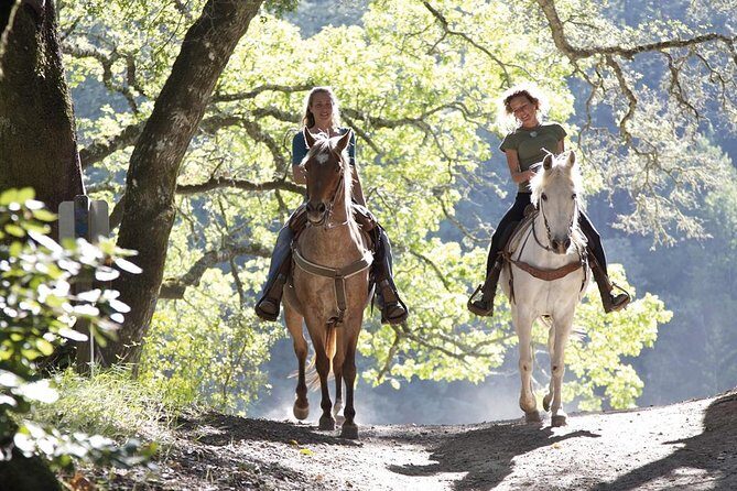 Tuscan Chianti Hills Horseback Riding Tour - Who Should Book This Chianti Horse Ride (and Who Might Not)