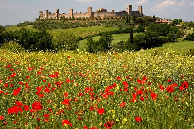 Tuscany Hiking Tour from Siena Including Wine Tasting - Train Back to Siena: Easy, Comfortable, and Scenic