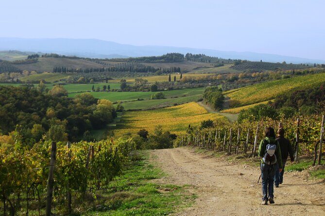Tuscany Hiking Tour from Siena Including Wine Tasting - Who This Tour Fits Best (and Who Should Rethink)