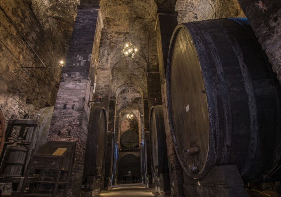 Tuscany: Self-Guided Video Tour with World's Top Experts - Key Points Before You Press Play