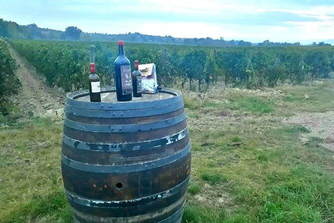 Tuscany Wine & Hills from Siena - Small Group - Guides and communication: what makes the difference on day trips