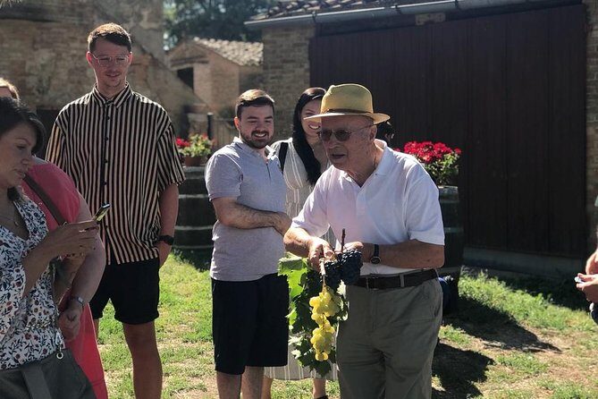 Tuscany Wine & Hills from Siena - Small Group - Is it really a wine tour, or a hilltown tour with wine?